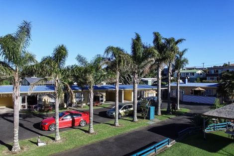 Raglan Palm Beach Motel | Nikau Palm Suite